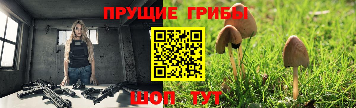 Галлюциногенные грибы MAGIC MUSHROOMS  Вход с VPN  Можга 