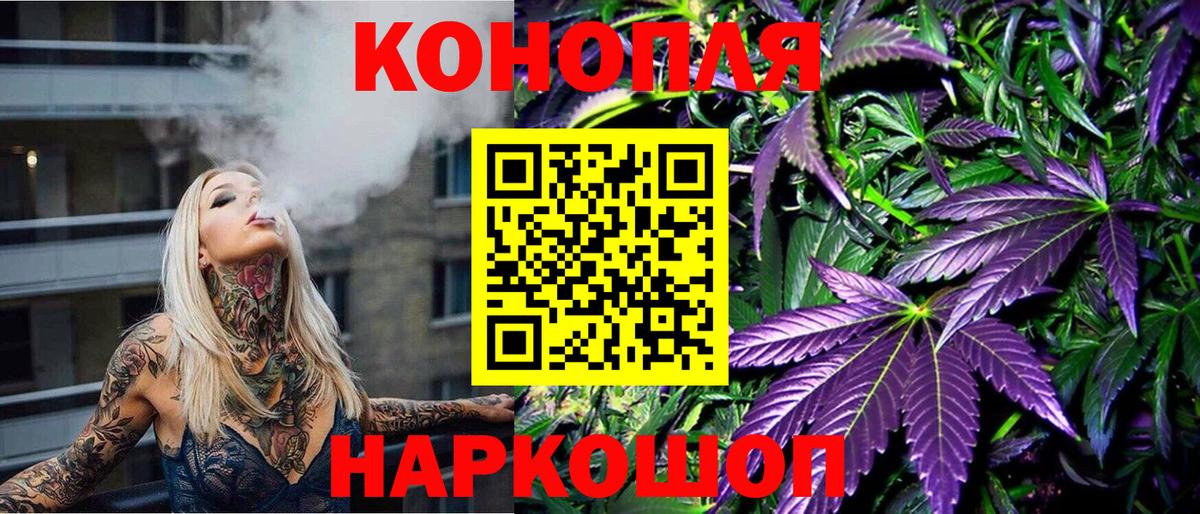 Конопля MAZAR Можга